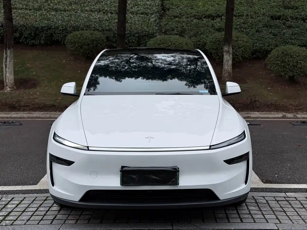 Tesla Model Y — миниатюра 2