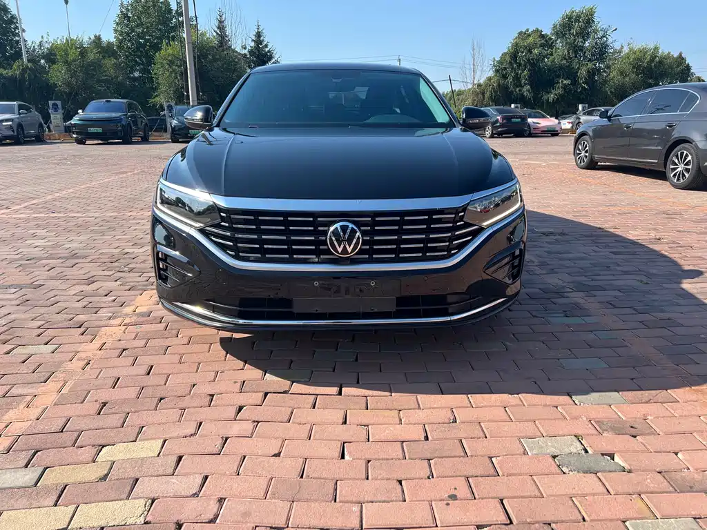 Volkswagen Passat — миниатюра 2