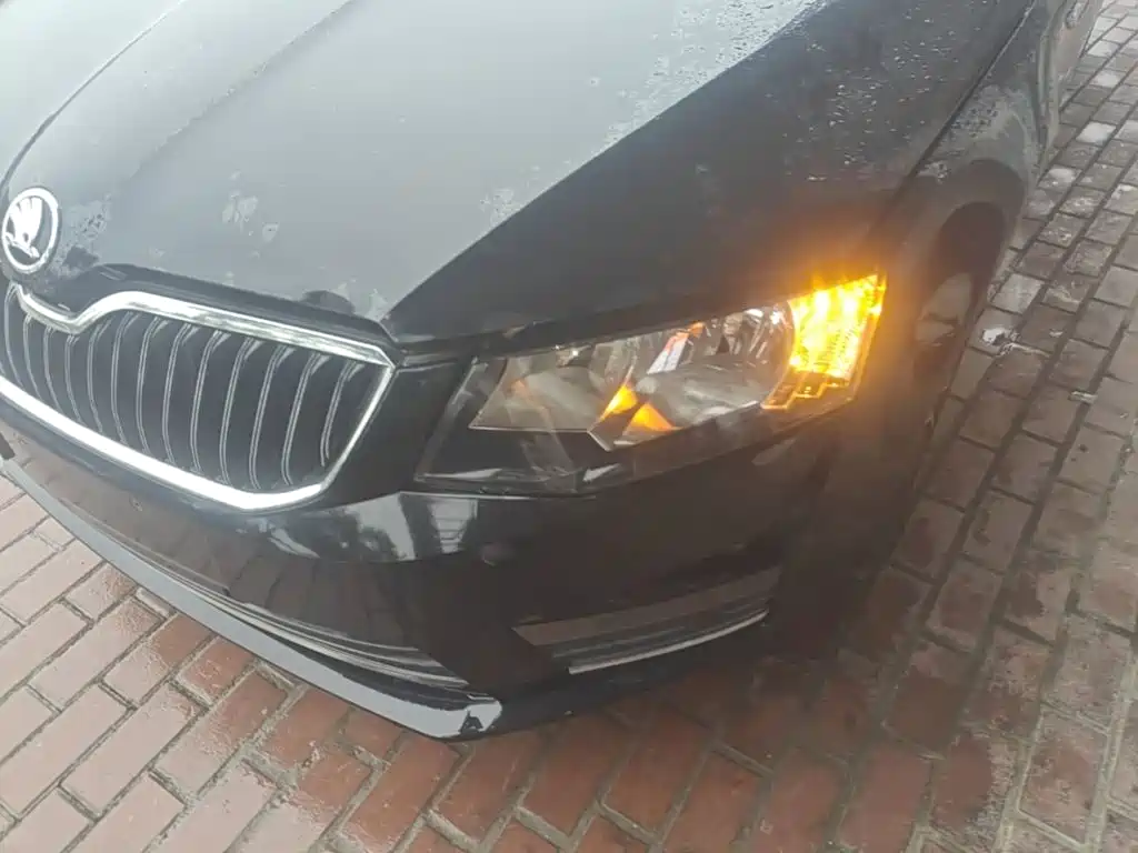 Skoda Octavia — миниатюра 24