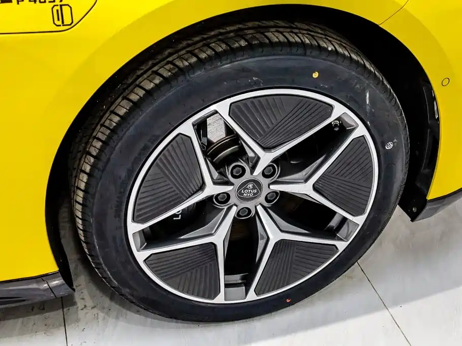 Lotus EMEYA — миниатюра 33