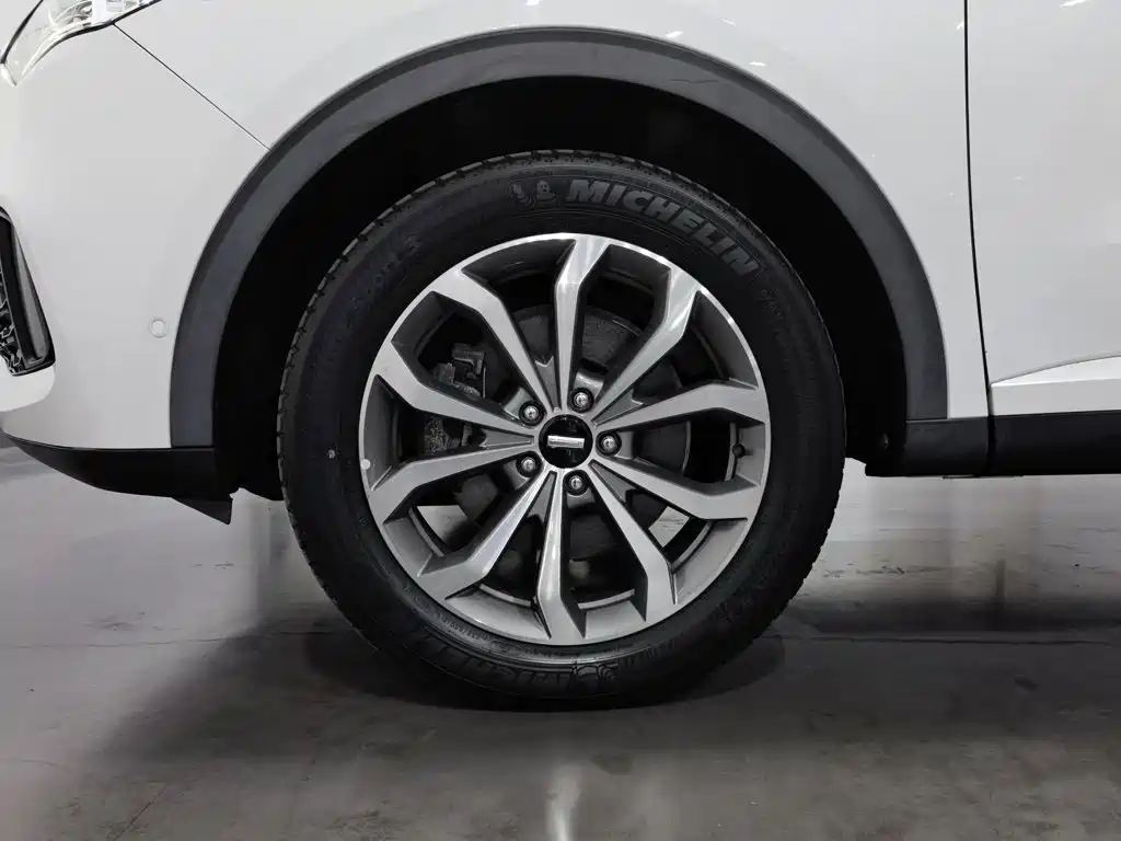 Wey Wey VV6 — миниатюра 17