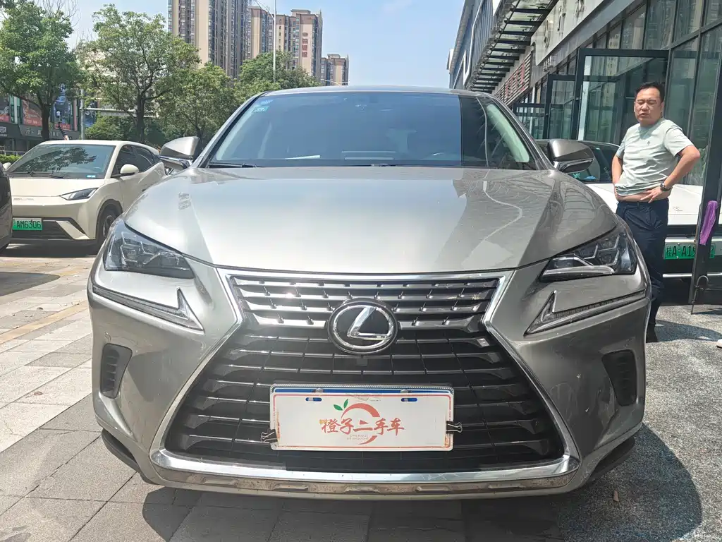 Lexus NX — миниатюра 2