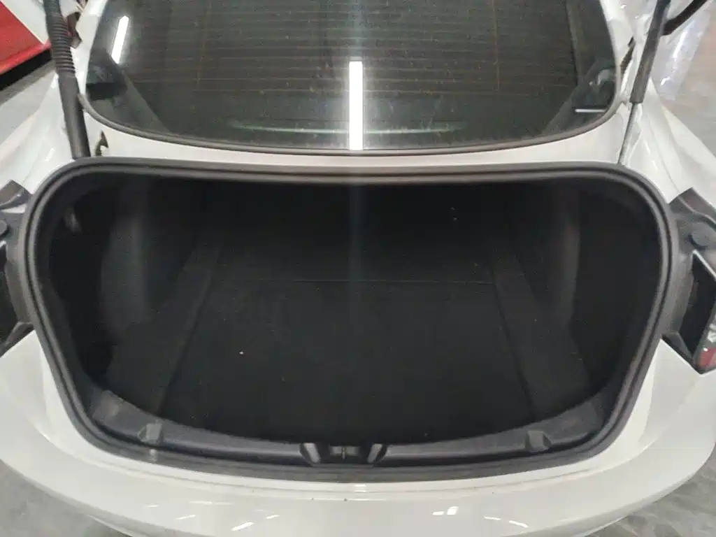Tesla Model 3 — миниатюра 19