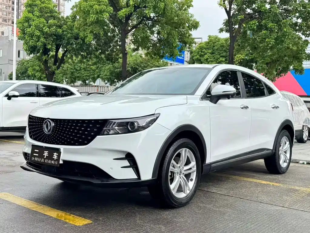Fengguang Fengguang ix5