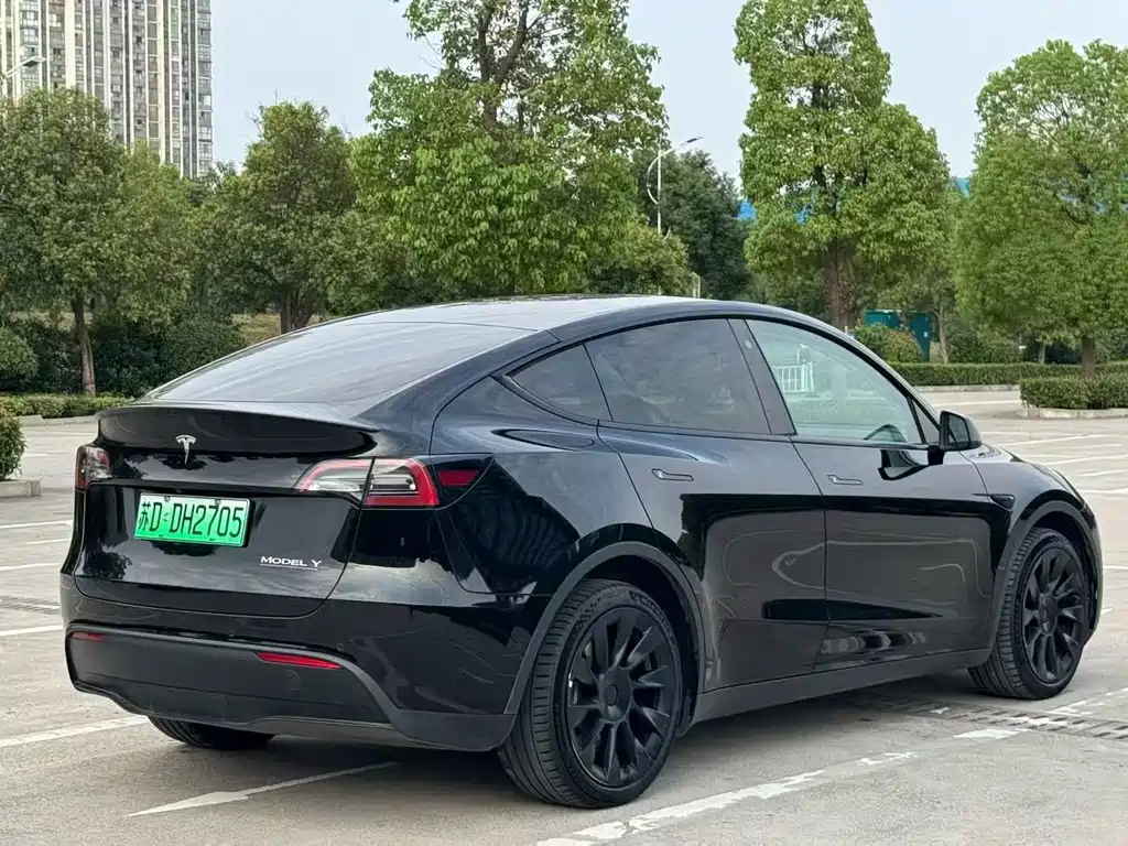 Tesla Model Y — миниатюра 9