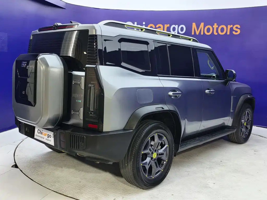 Shanhai Traveller C-DM — миниатюра 7