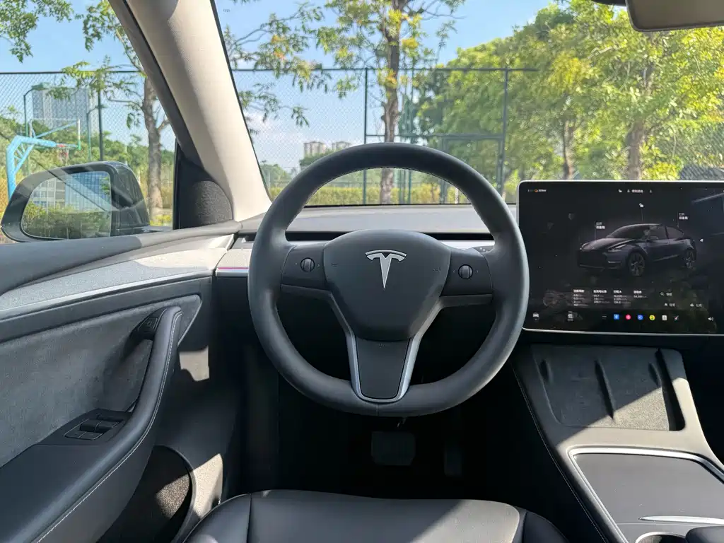 Tesla Model Y — миниатюра 5