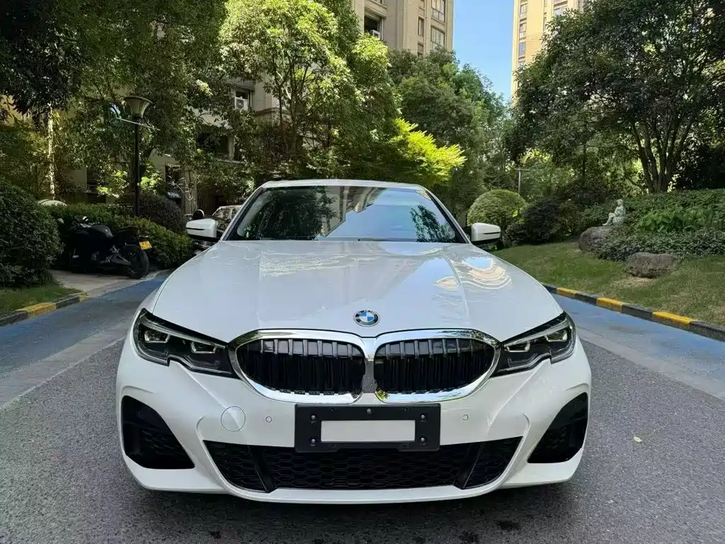 BMW 3 Series — миниатюра 2