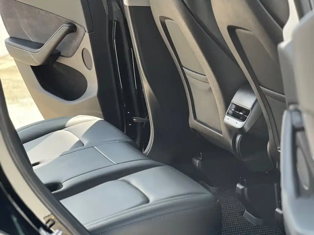 Tesla Model Y — миниатюра 6