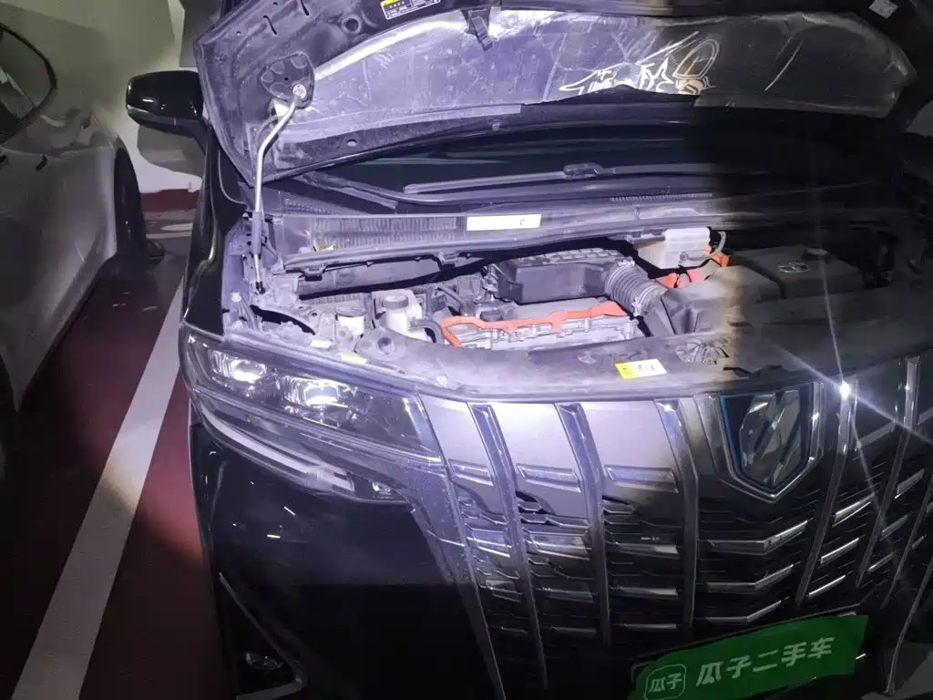 Toyota Alphard — миниатюра 21