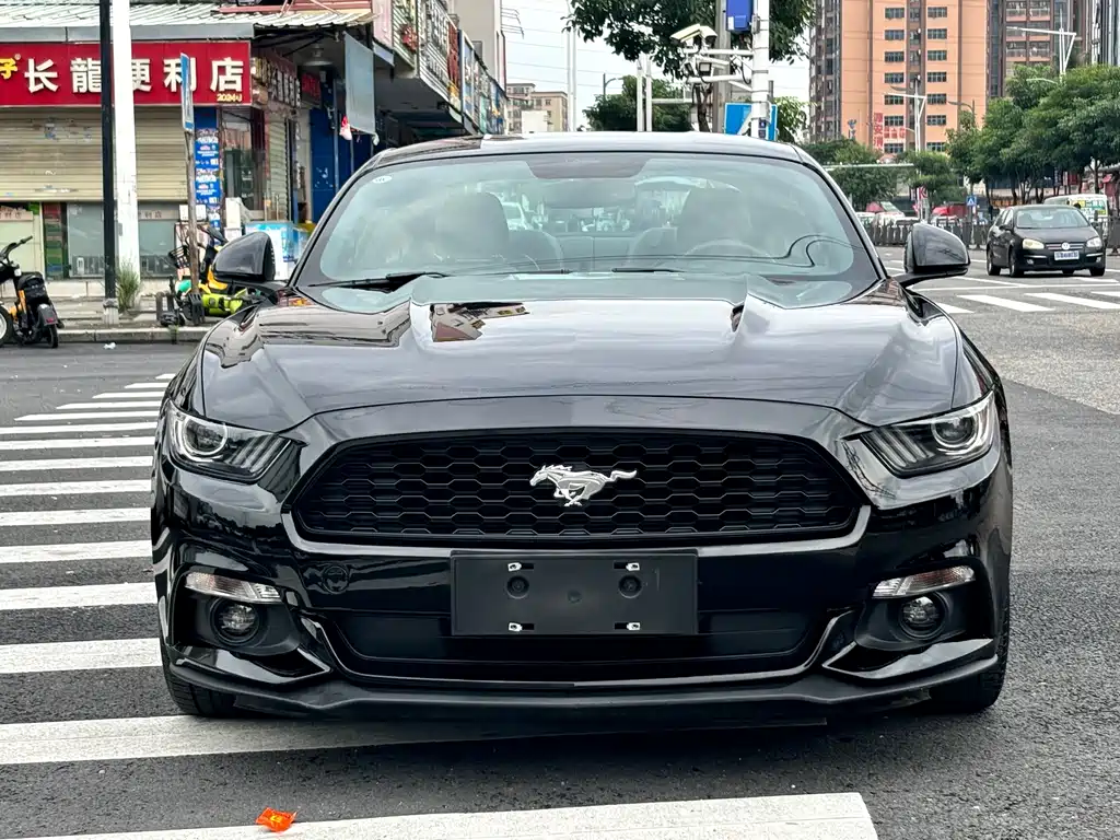 Ford Mustang — миниатюра 2