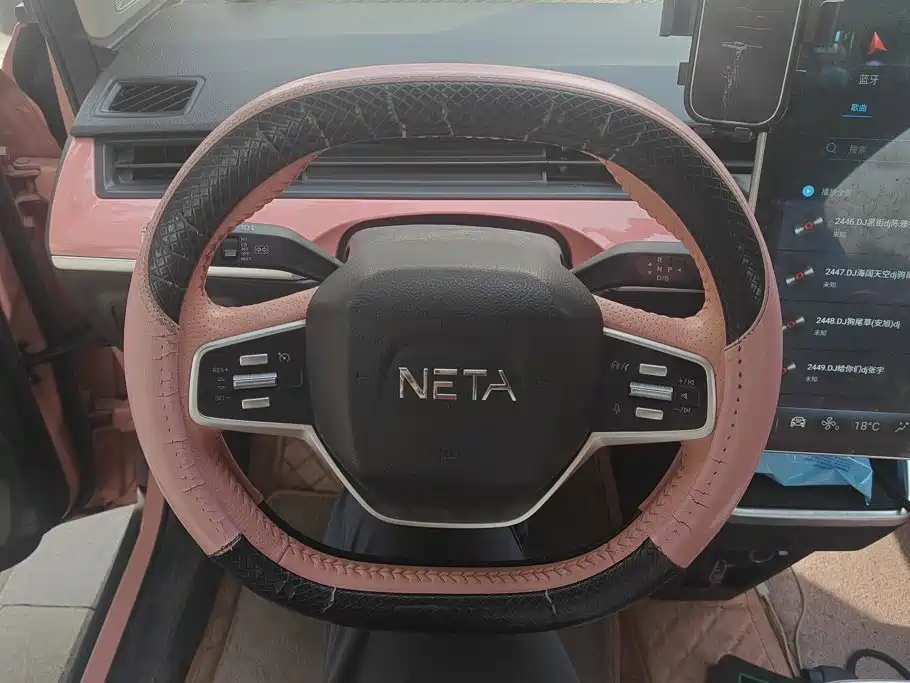 Neta Neta V — миниатюра 15