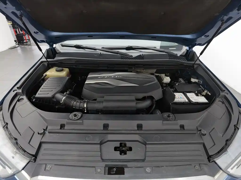 Maxus D90 — миниатюра 6
