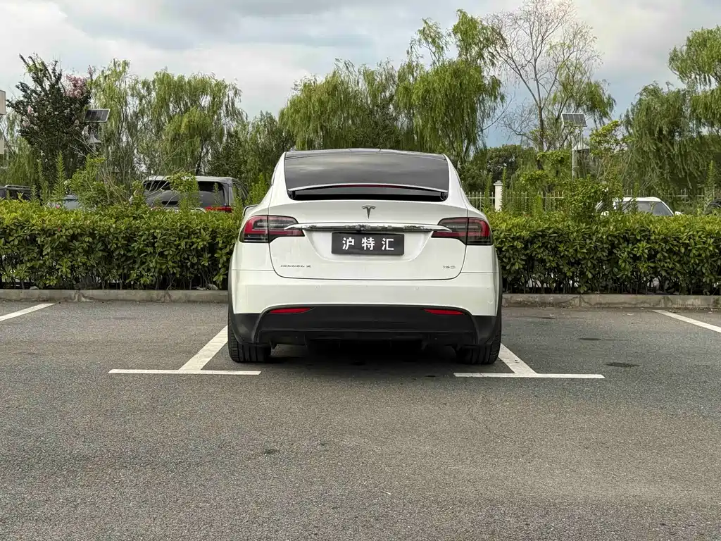 Tesla Model X — миниатюра 7