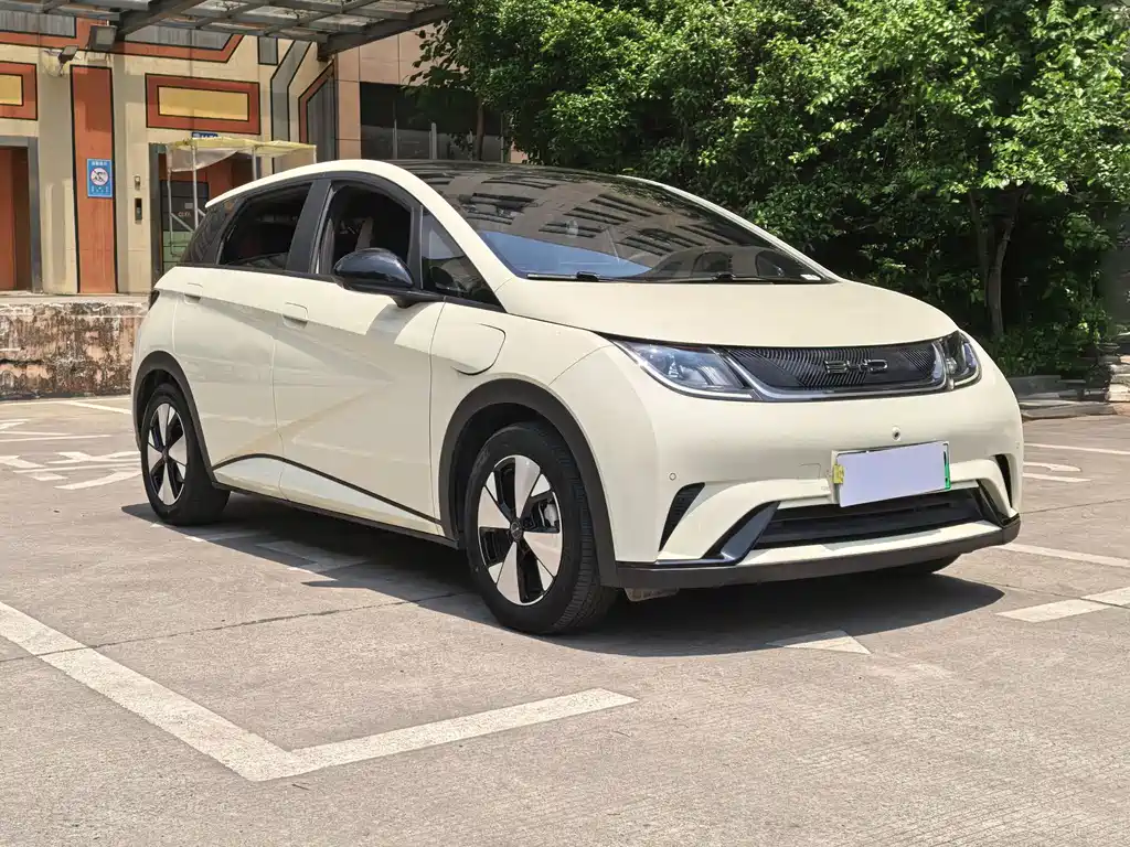 BYD Dolphin 2023 420km Fashion