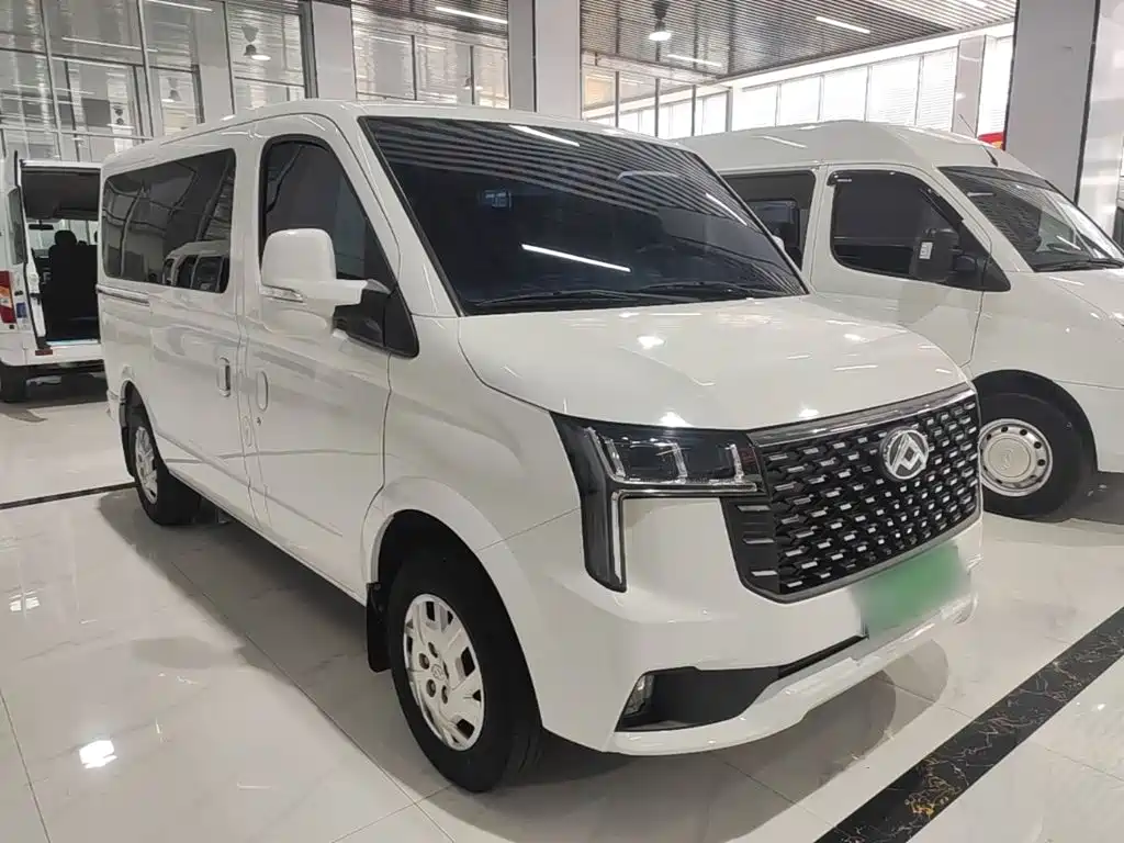 MAXUS V80 — миниатюра 4