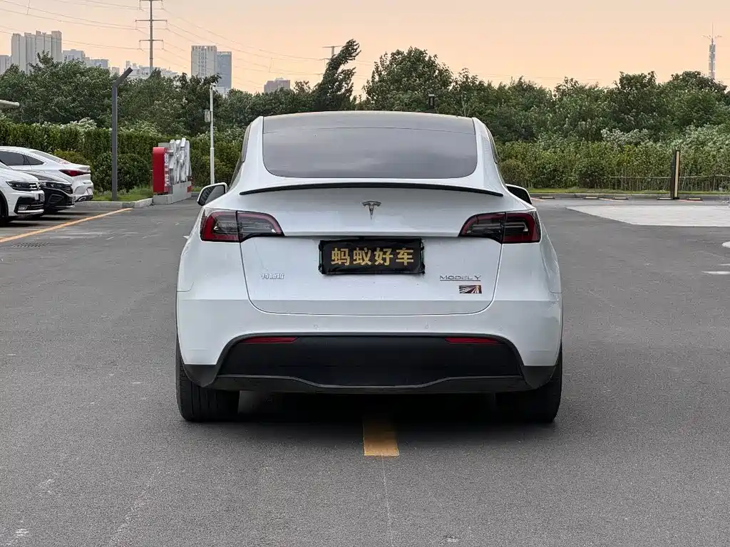 Tesla Model Y 2022 Performance