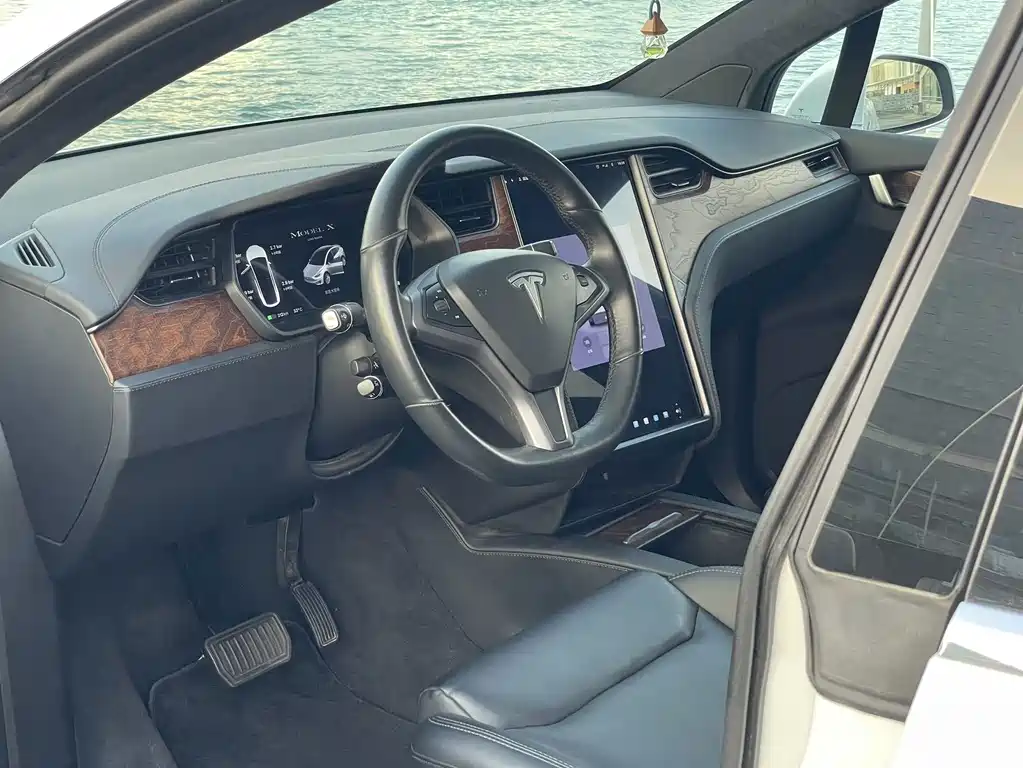 Tesla Model X — миниатюра 12