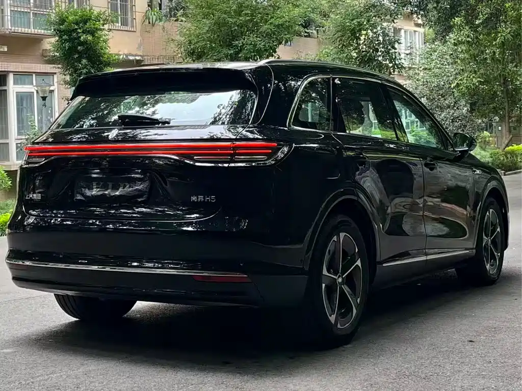 Shangjie Shangjie H5 — миниатюра 6