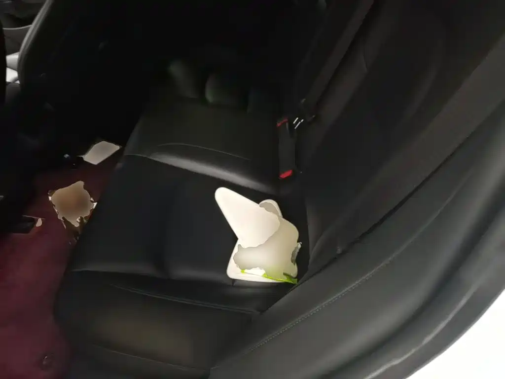 Tesla Model 3 — миниатюра 17