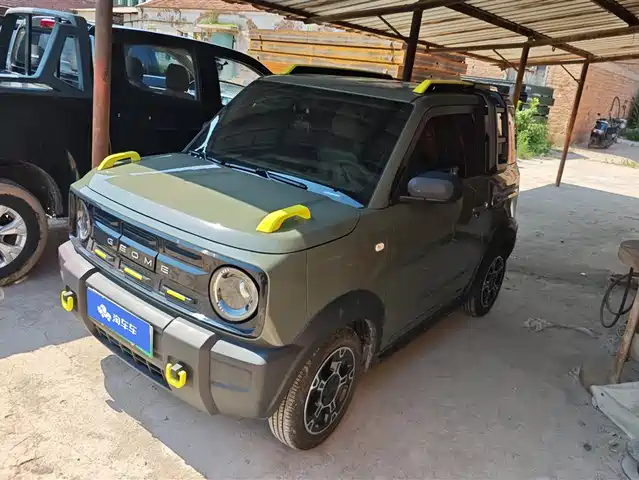 2025 Geely LC (Panda)
