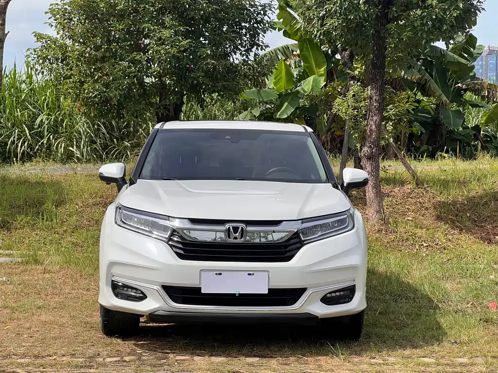 Honda Avancier — миниатюра 2