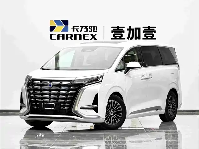 2024 Denza D9