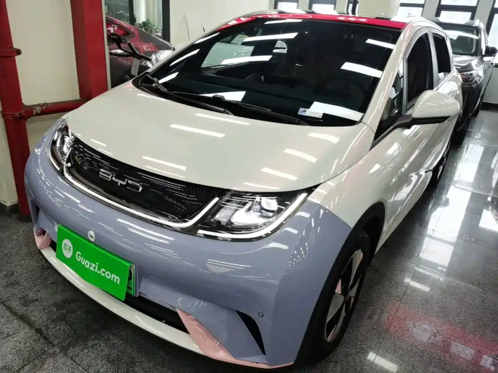 BYD Dolphin 2023 420km Fashion