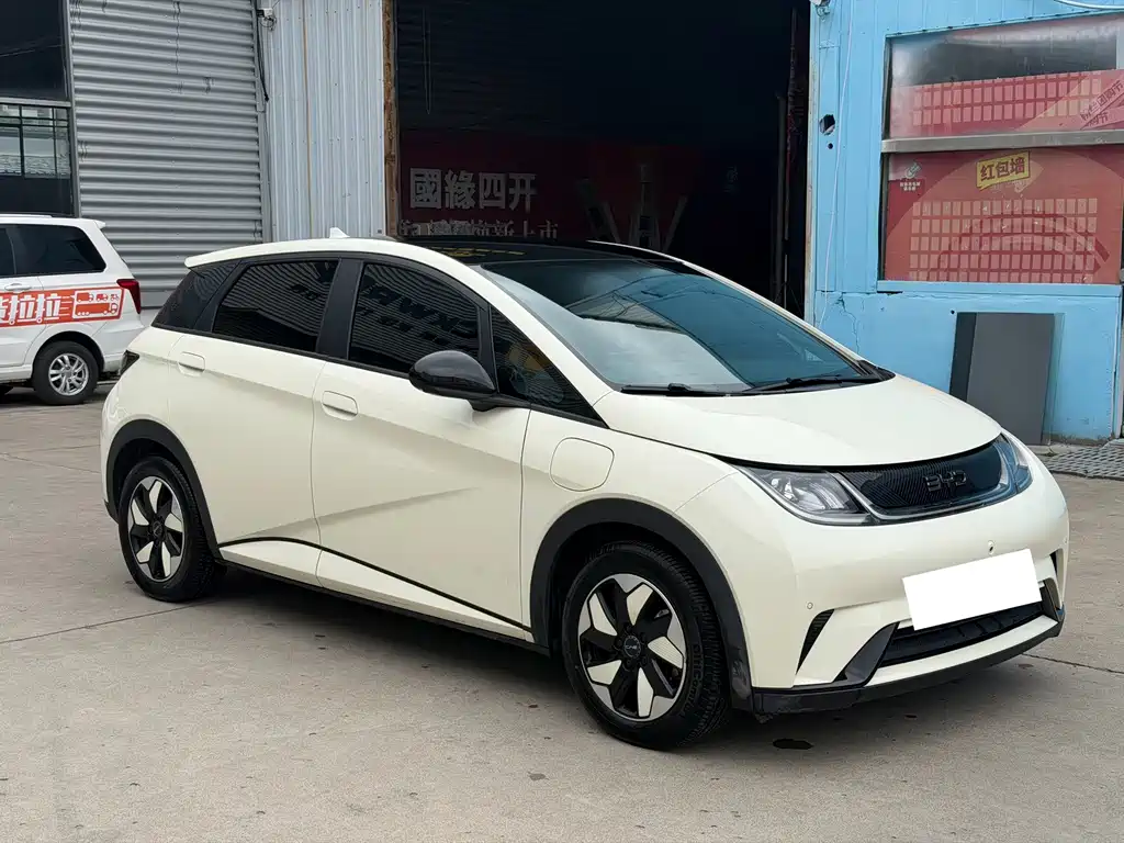 BYD Dolphin — миниатюра 3
