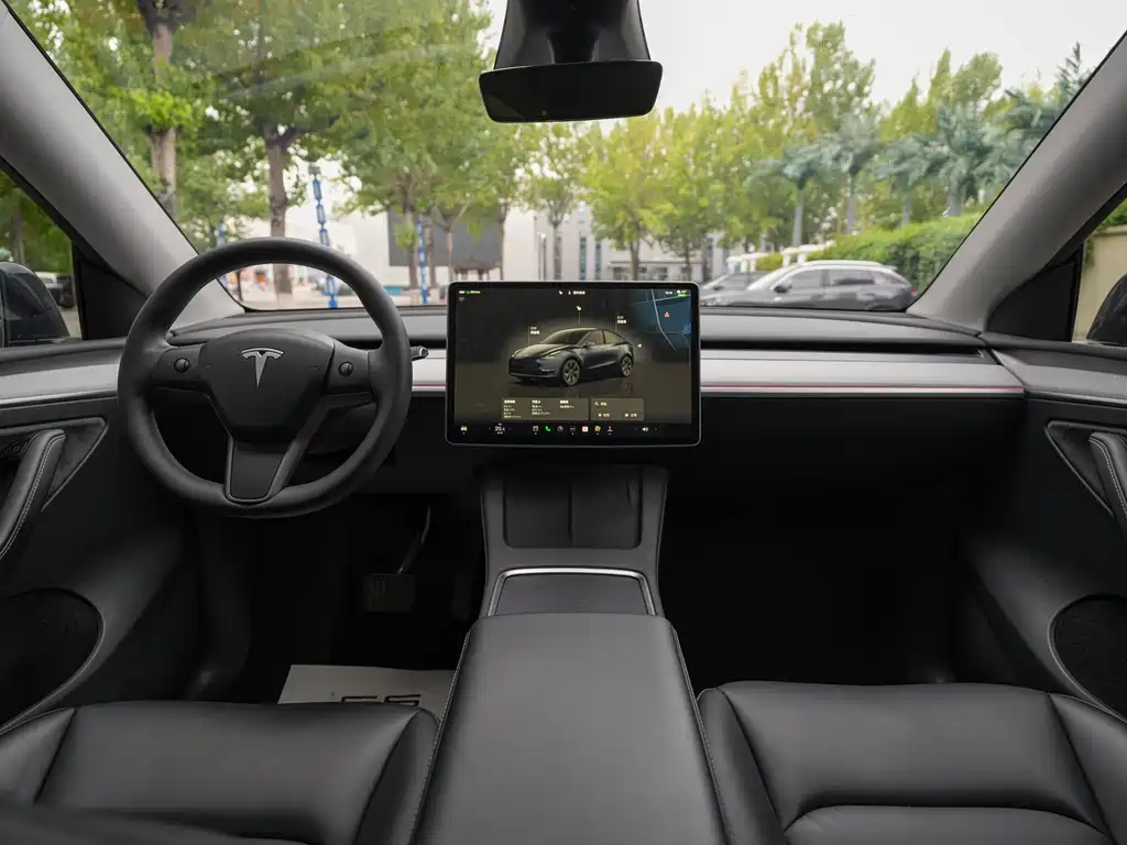 Tesla Model Y — миниатюра 14