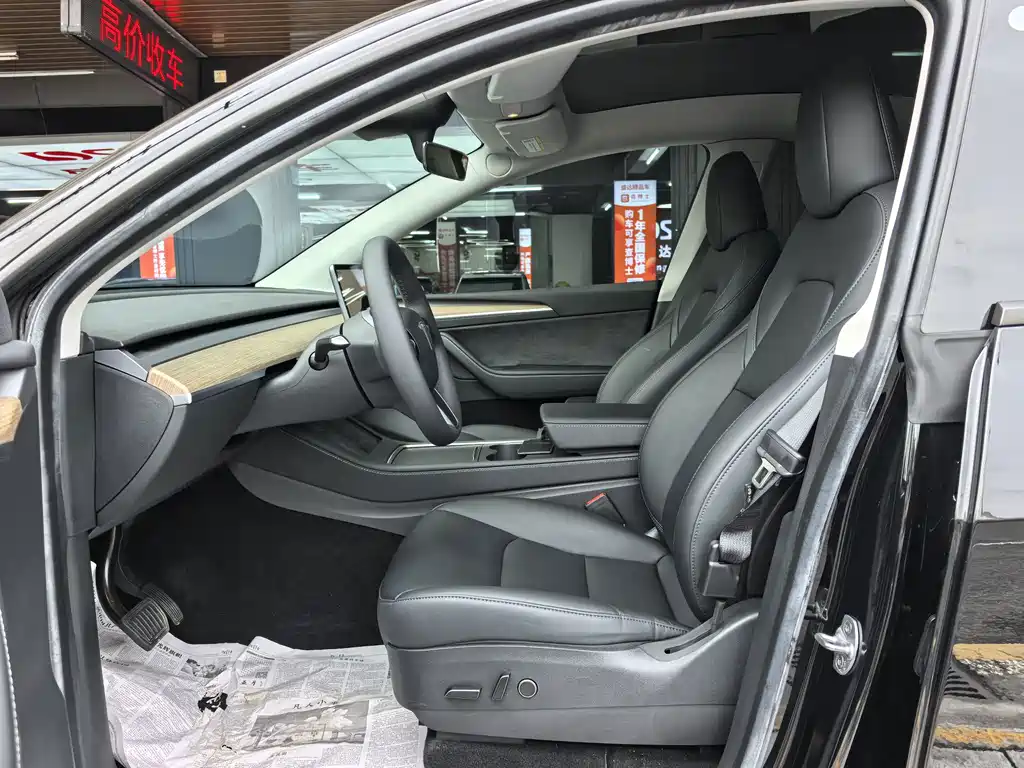 Tesla Model Y — миниатюра 10