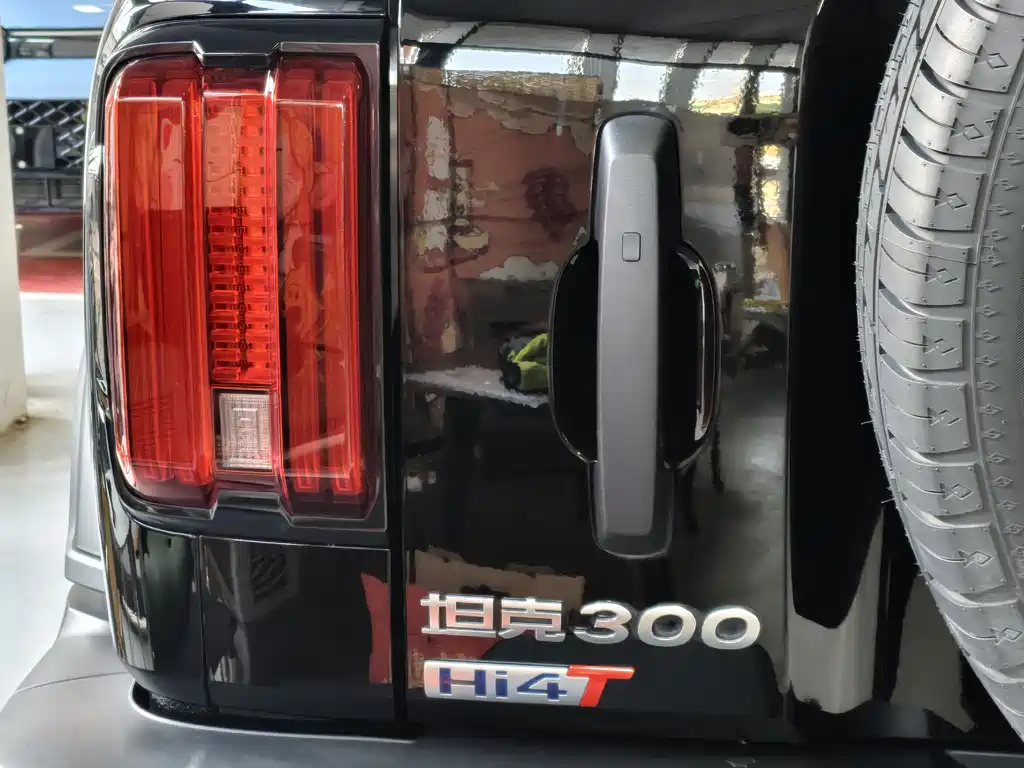 TANK TANK 300 NEW ENERGY