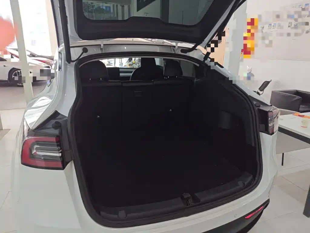 Tesla Model Y — миниатюра 19