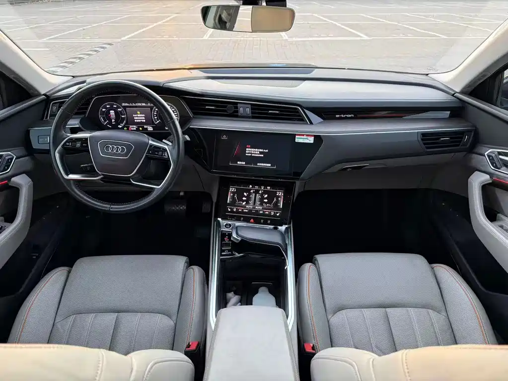 Audi e-tron (Import) — миниатюра 12
