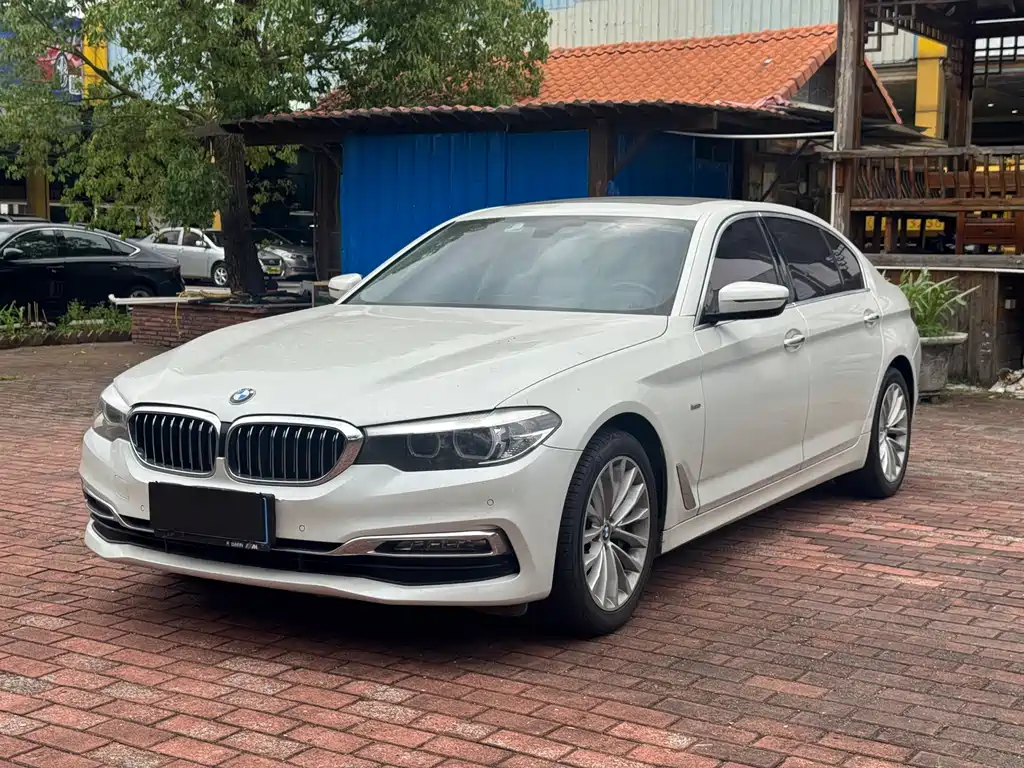 BMW 5 Series 5 2018 530Li Lead Luxury