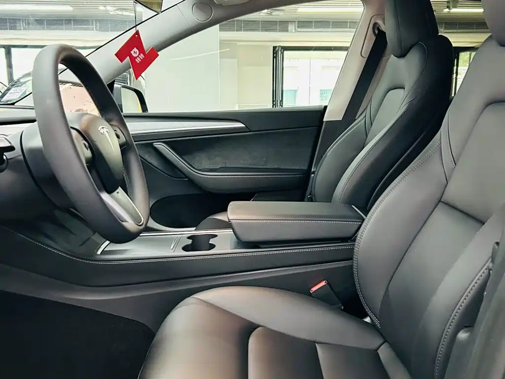 Tesla Model Y — миниатюра 7