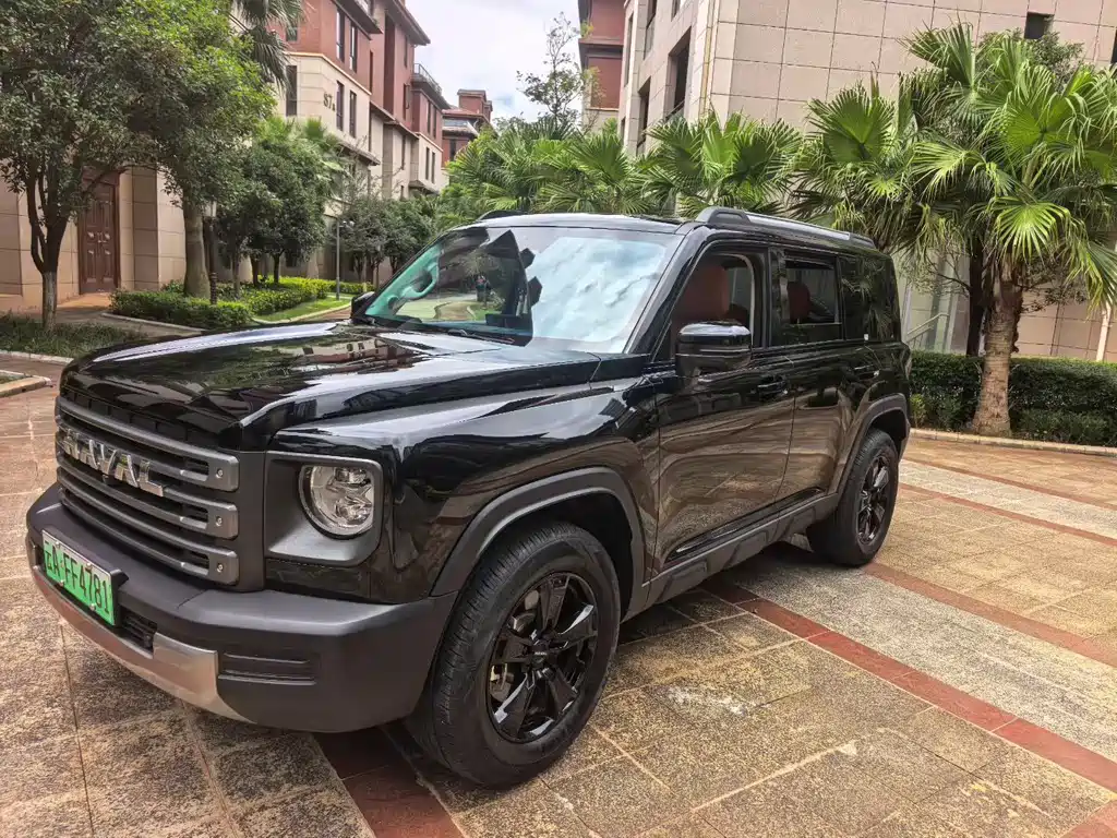 Haval Menglong New Energy