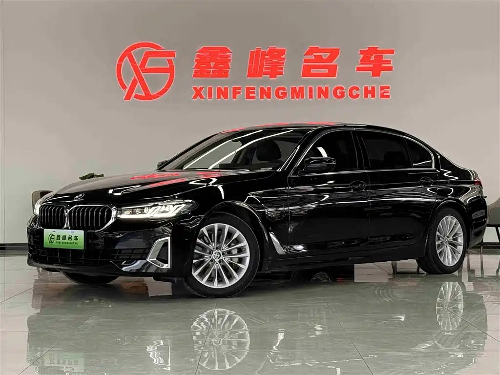 BMW 5 Series New Energy 2021