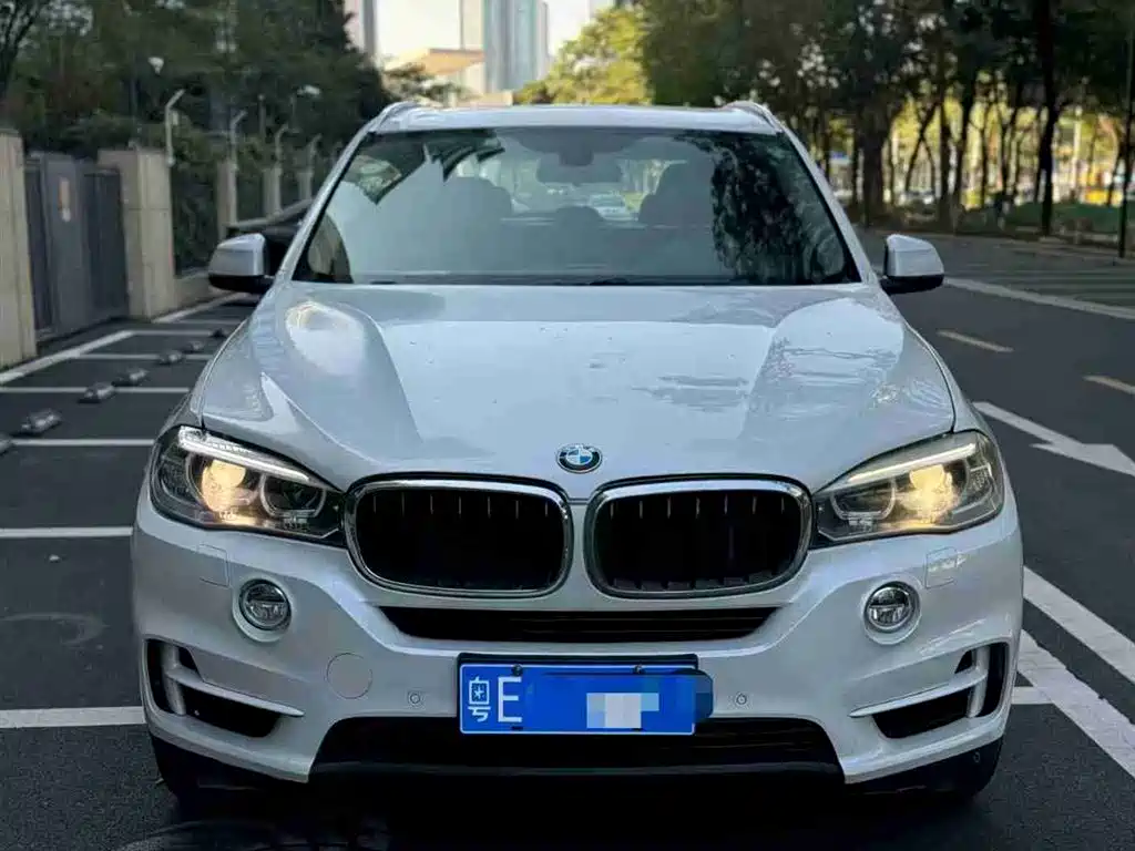 BMW X5 (Import) 2014