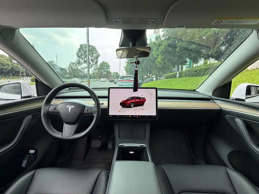 Tesla Model Y — миниатюра 13
