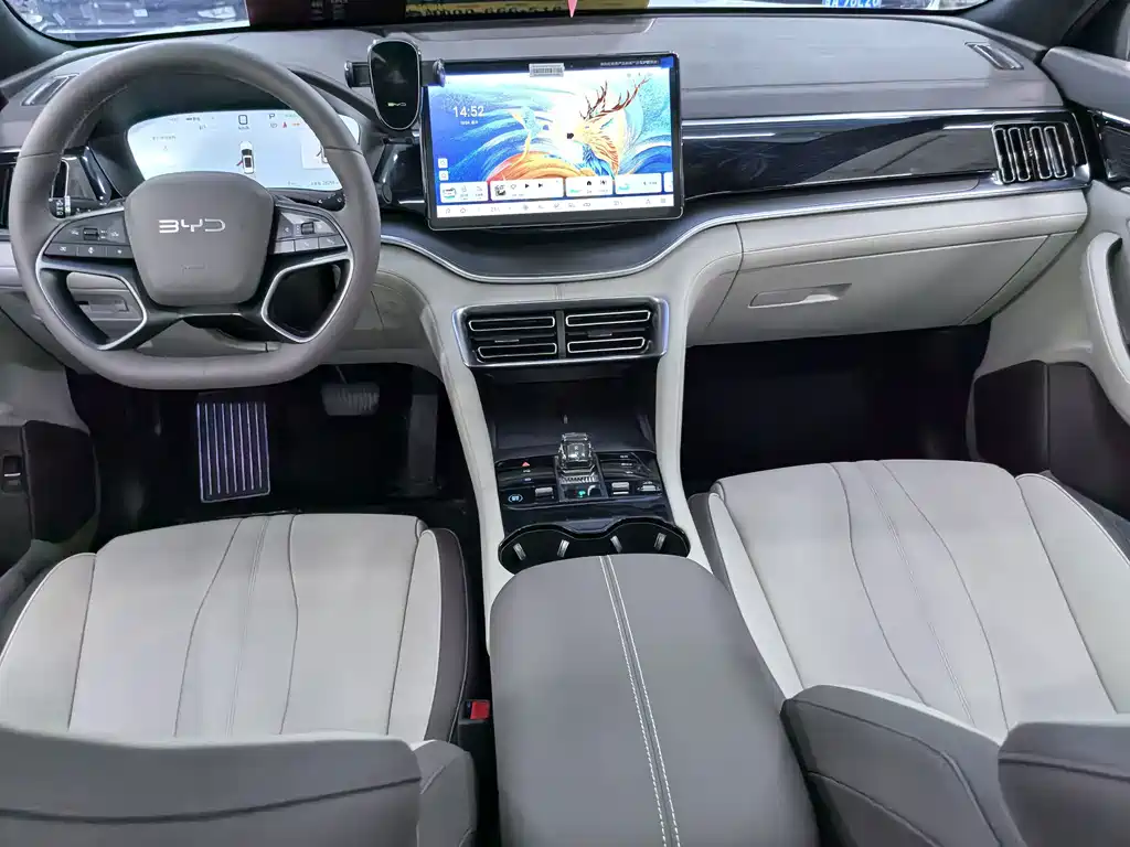 BYD PLUS New Energy — миниатюра 12
