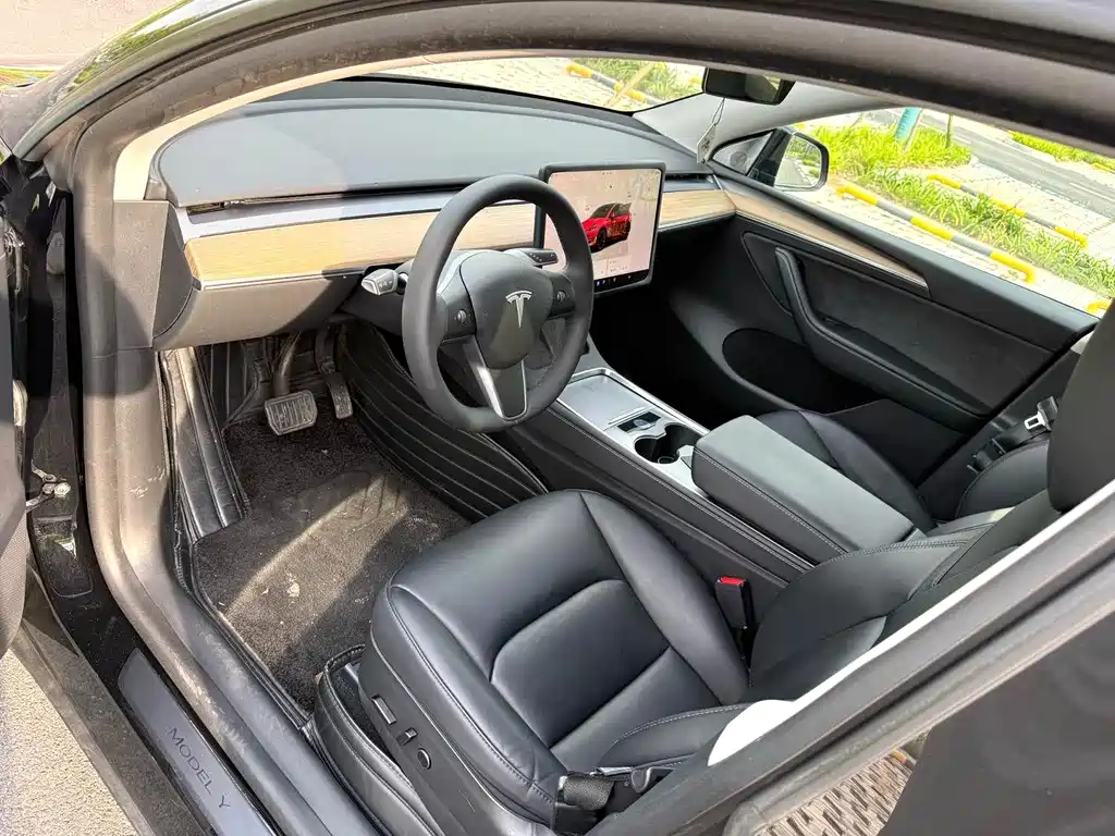Tesla Model Y — миниатюра 7