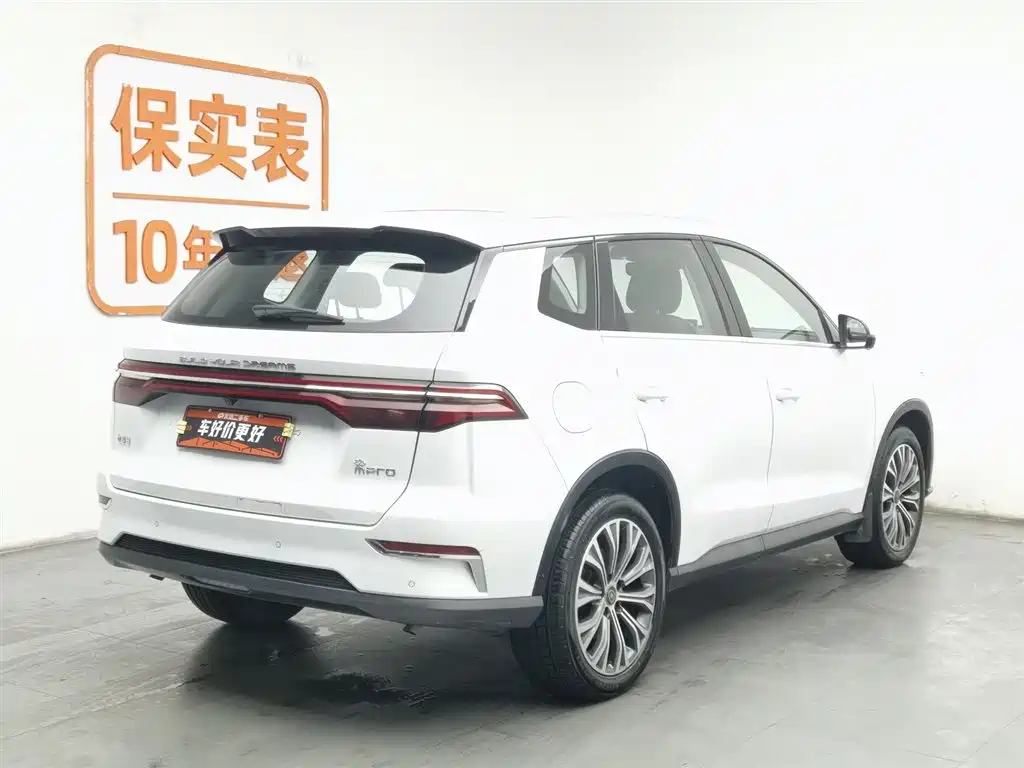 BYD SONGJIANG NEW ENERGY