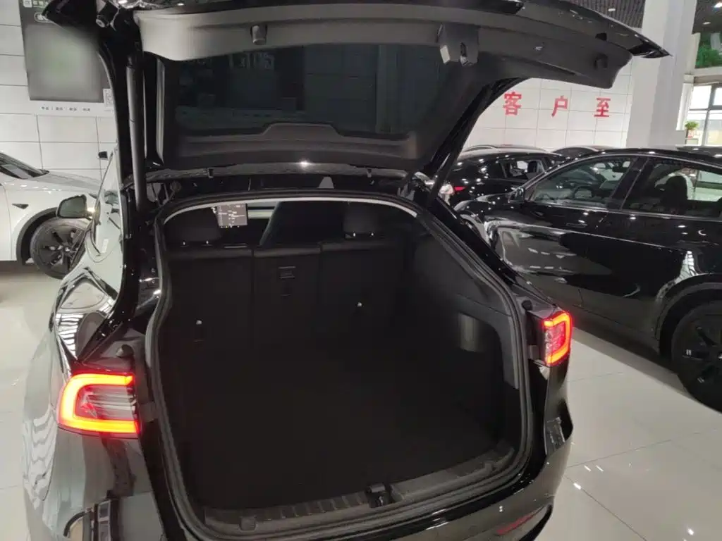 Tesla Model Y — миниатюра 19