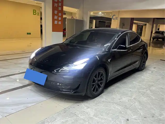 TESLA MODEL 3 2020