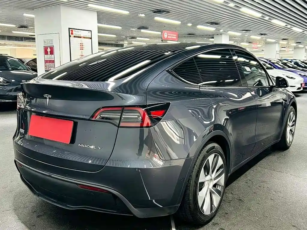 Tesla Model Y — миниатюра 4