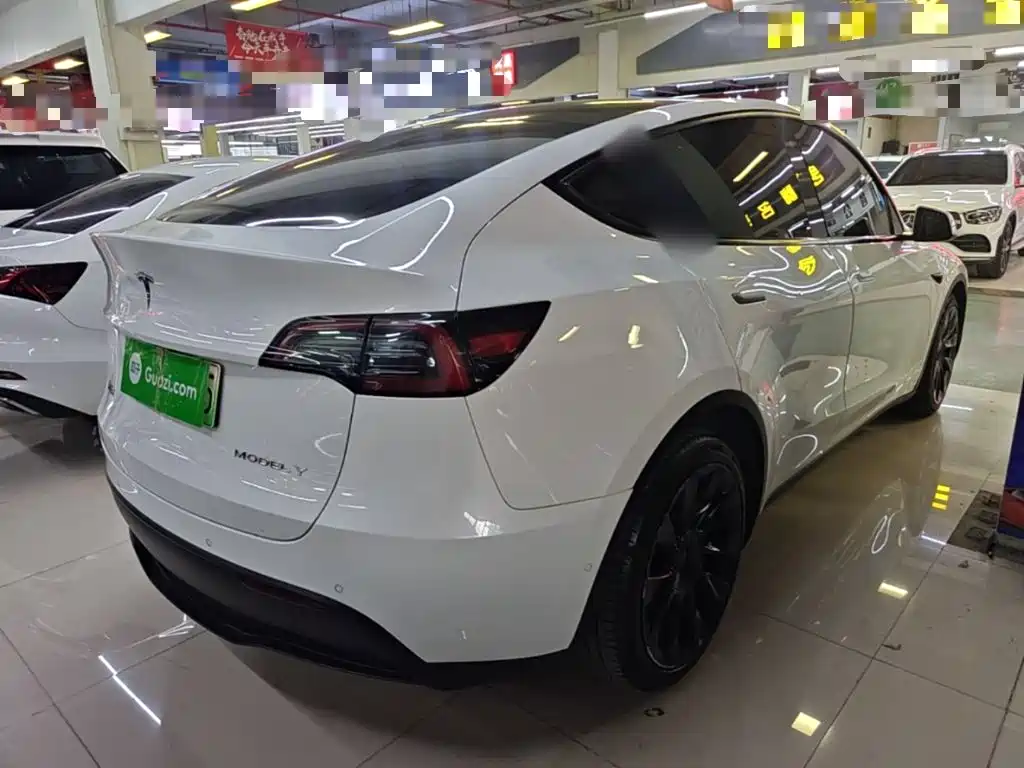 Tesla Model Y — миниатюра 7