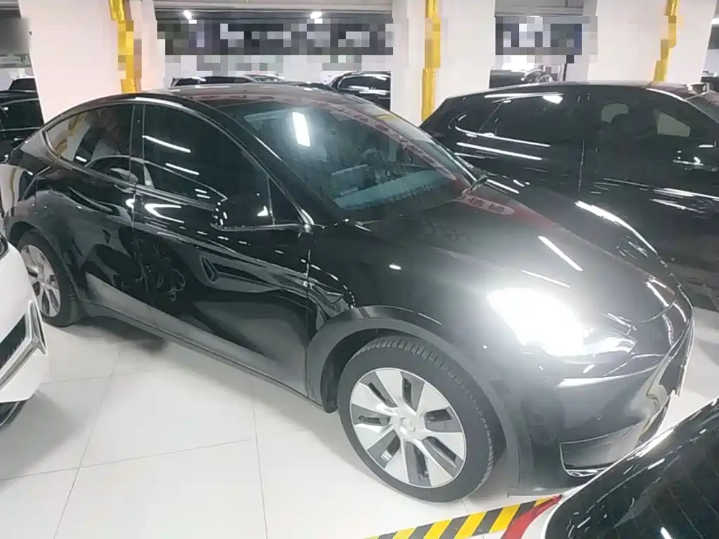 Tesla Model Y — миниатюра 4