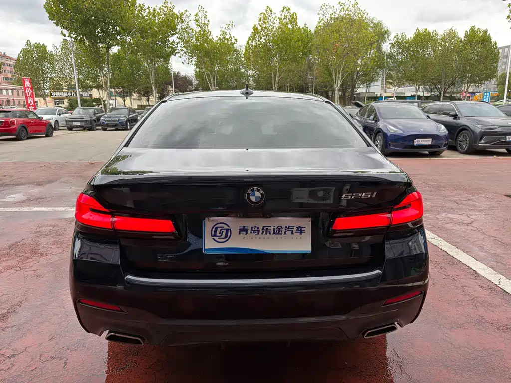 BMW 5 Series (Import) — миниатюра 5