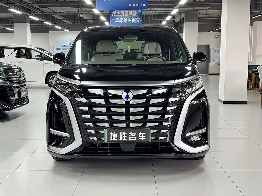 Denza Denza D9 — миниатюра 5
